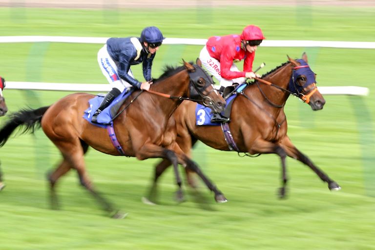 Nottinghamshire Oaks £9 Afternoon Racing