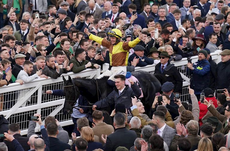 The Boodles Cheltenham Gold Cup