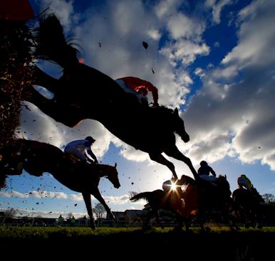 County Raceday