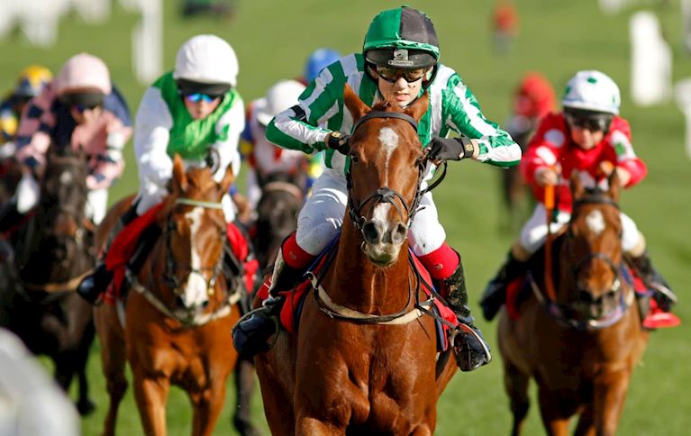 Irish Thoroughbred Marketing County Raceday