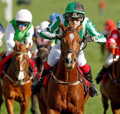 Irish Thoroughbred Marketing County Raceday