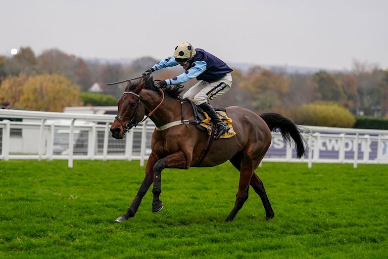 Edwardstone wins the 2022 Betfair Tingle Creek