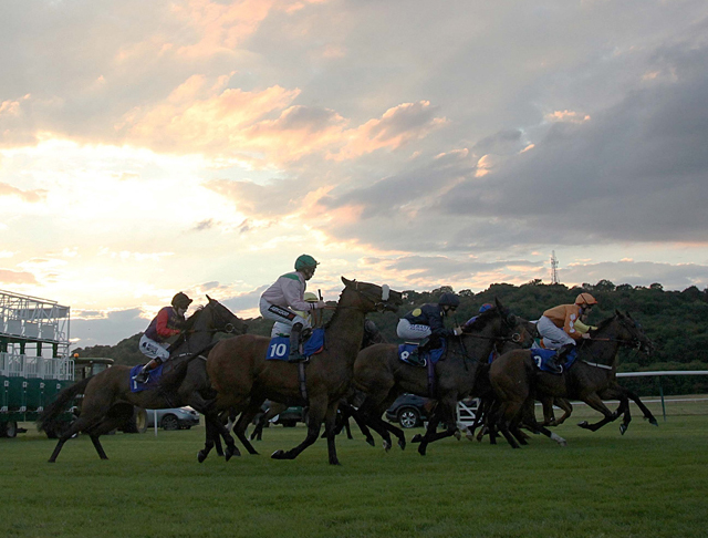 £9 Afternoon Racing
