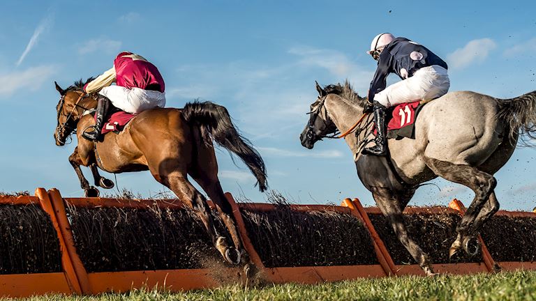 The Betfred Last Fling