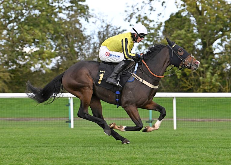 HUNTINGDON RACEDAY NEWS: ROYAL ASCOT WINNER BURDETT ROAD HITS THE GROUND RUNNING ON HURDLING DEBUT T