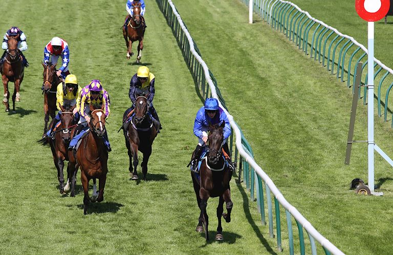 Afternoon Racing