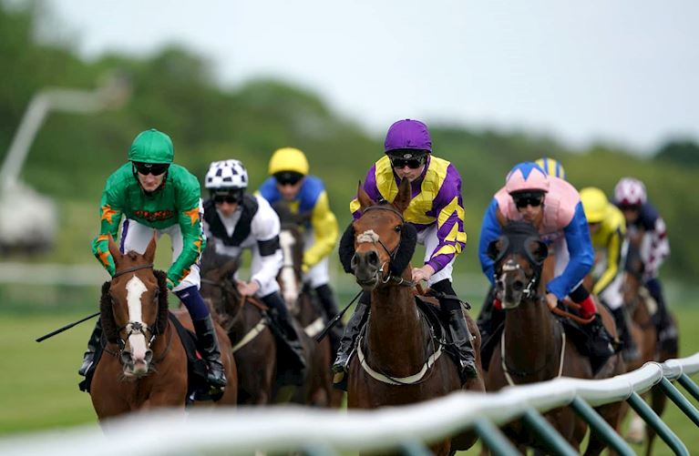 £9 Afternoon Racing