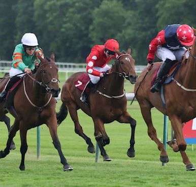 JACK LANDER LIVING THE DREAM AS A JOCKEY