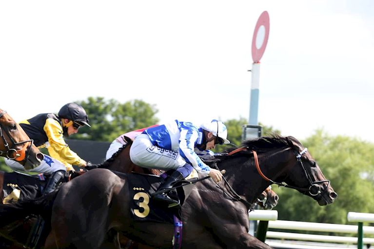 £9 Afternoon Racing