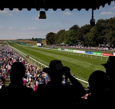 A Day At The Races