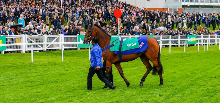 Adapting to a new career