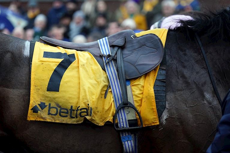 BETFAIR TO SPONSOR RACES ON NYD AND FTD