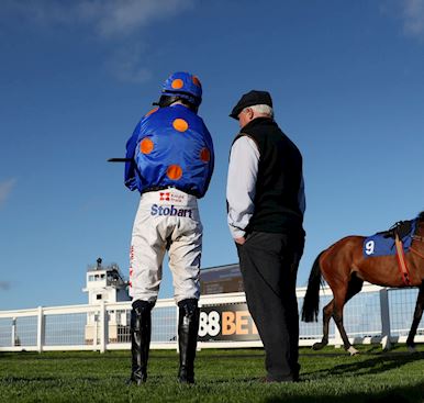 Information for Owners' & Trainers'