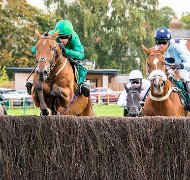 Molly Ollys Behind The Scenes Race Day
