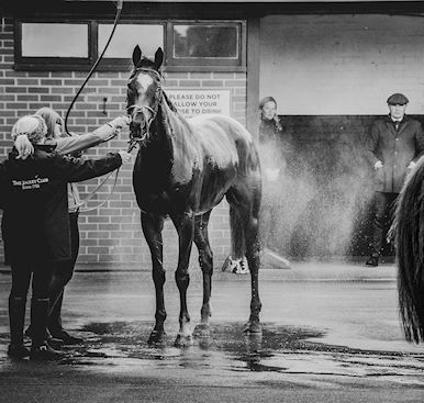 Stabling Information