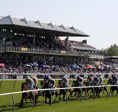 Proudly Warwick Preview