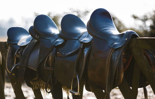 Epsom Team Building Saddles.jpg