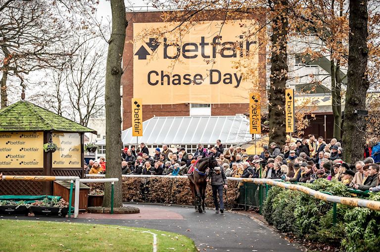 Haydock_Betfair_Chase_2019-20-min[1].jpg