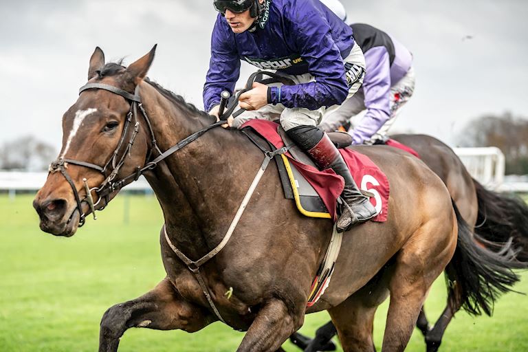 Haydock_Betfair_Chase_2019-38-min[1].jpg