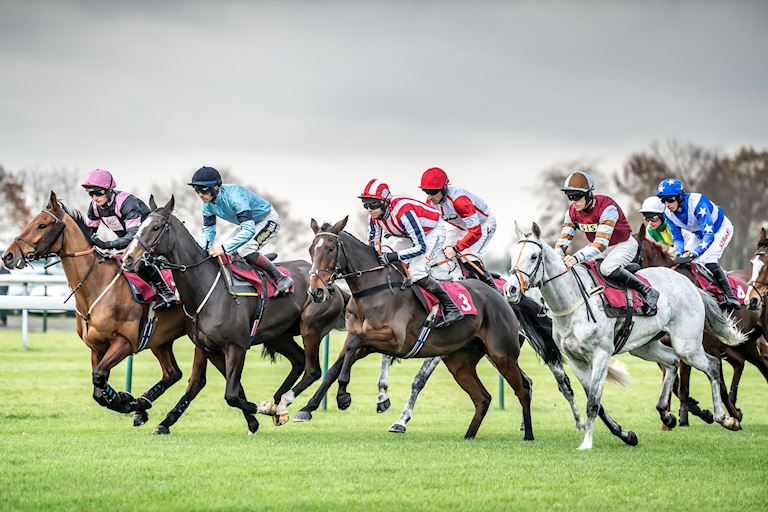 Haydock_Betfair_Chase_2019-81-min[1].jpg