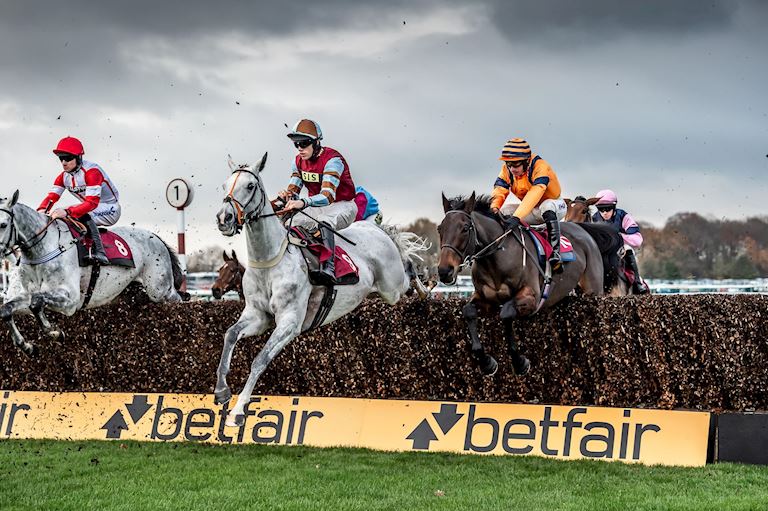 Haydock_Betfair_Chase_2019-96-min[1].jpg