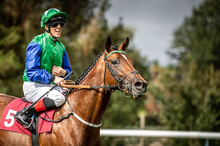 Afternoon Racing 