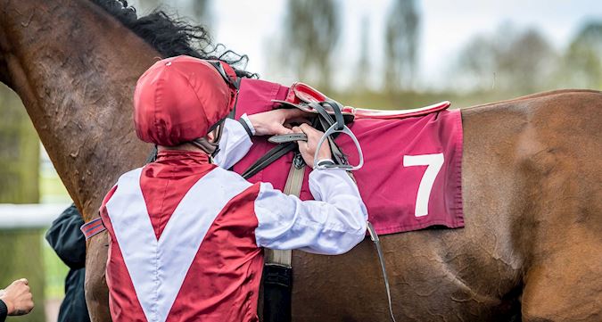 Christmas Afternoon Jump Racing