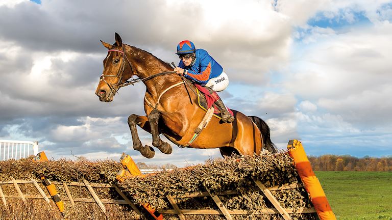 Betfred Tommy Whittle Chase Day