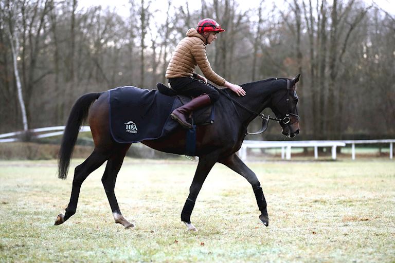 IL EST FRANCAIS AIMING TO REVIVE CHRISTMAS TRADITION OF FRENCH-TRAINED WINNERS ON BOXING DAY