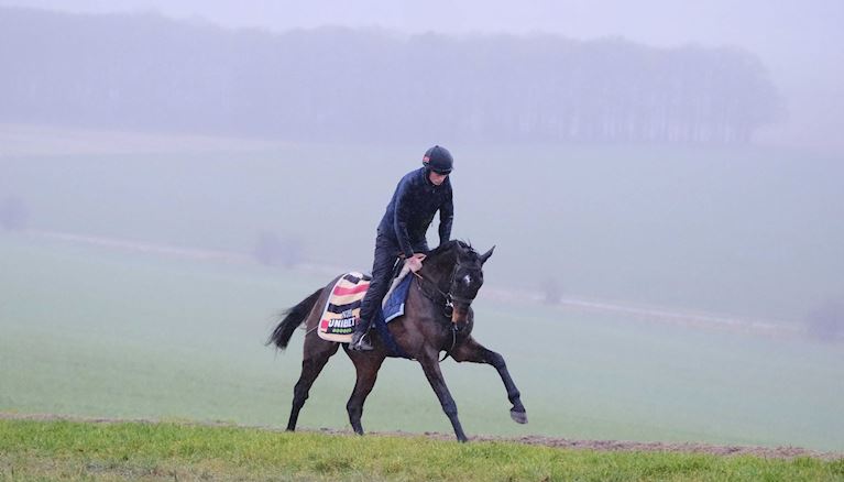 JUMP RACING’S SUPERSTAR CONSTITUTION HILL “BIG, WELL AND STRONG” AHEAD OF REAPPEARANCE IN LADBROKES 