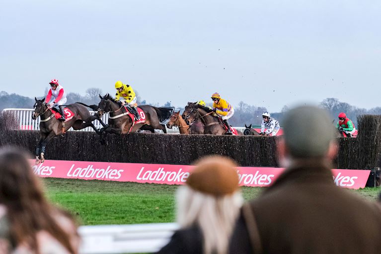 Paddock Enclosure