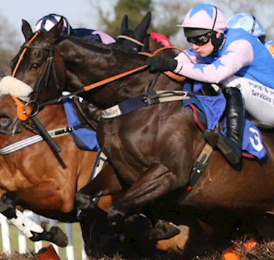 County Raceday