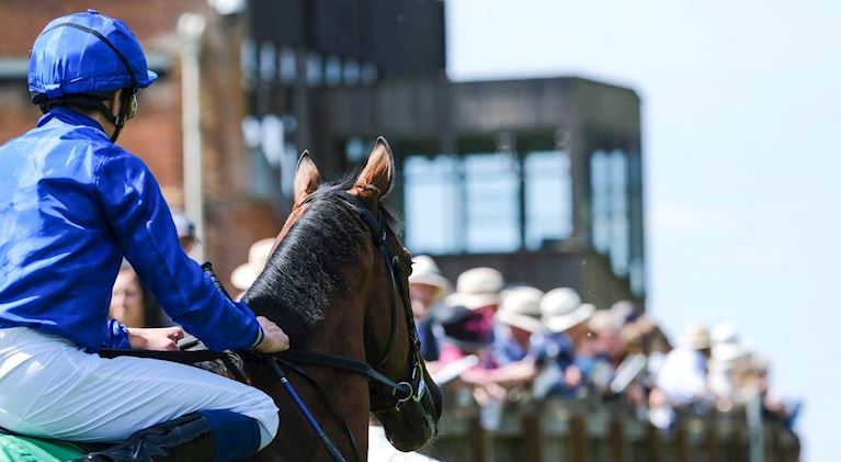 CHAMPIONS OF THE TURF HEADLINE ANOTHER YEAR OF ACHIEVEMENT FOR THE TOWN OF NEWMARKET