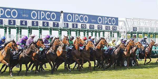 Newmarket's QIPCO Guineas Festival to move to three days from 2022 onwards