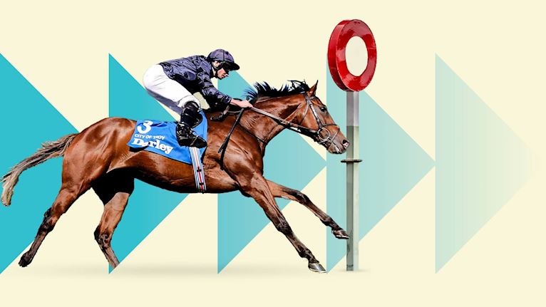Dubai Future Champions Festival