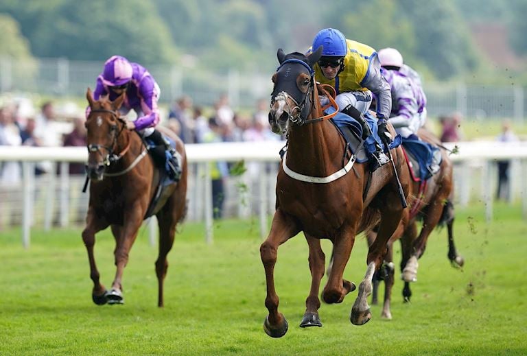 Nottingham Raceday Preview: Colwick Cup