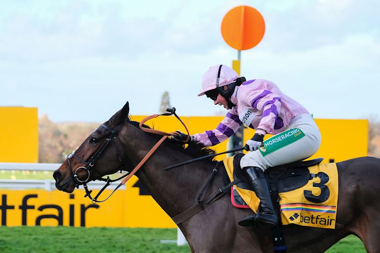 Goffs Launch New PTP Sale at Betfair Tingle Creek Festival 