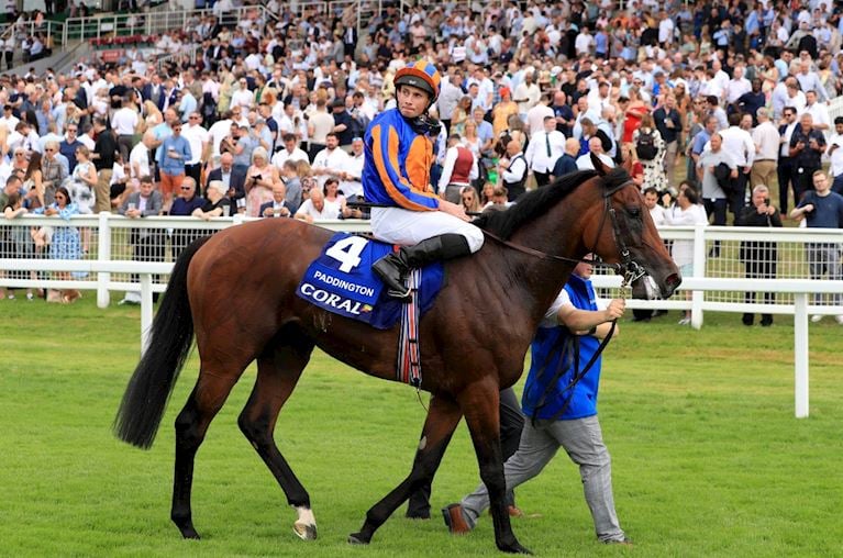 Coral-Eclipse Day