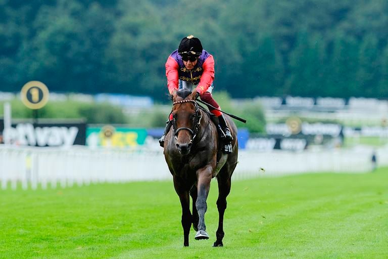 Royal Success in Betway Solario Stakes