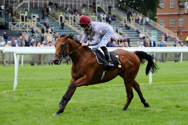 Rerouting out to maintain perfect start to career in Betway Solario Stakes