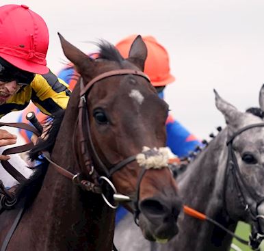 Afternoon Racing
