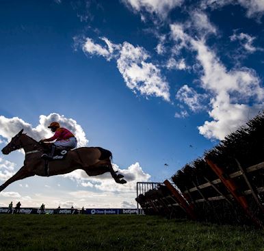 Cheese and Cider Race Night