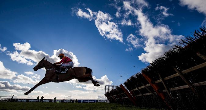 Cheese and Cider Race Night