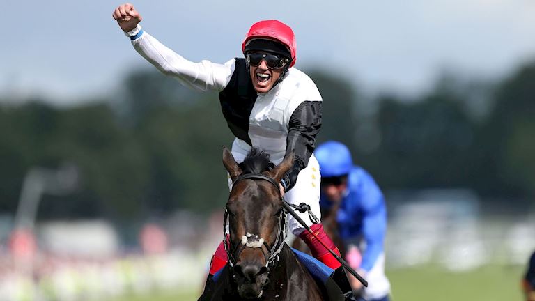 GOLDEN HORN – 2015 DERBY